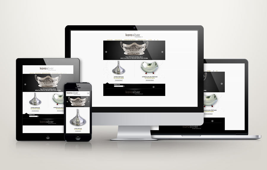 KARA silver web site tasarımı ve yönetim paneli yazılımı Panajans